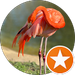 T G