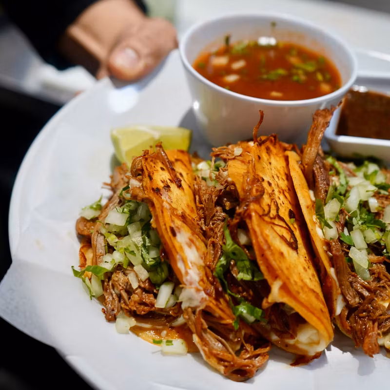 Epazote Mexican Restaurant &mdash; Fort Lauderdale