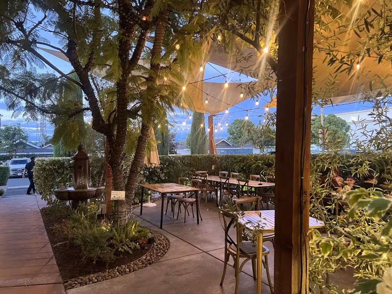 Tree-shaded patio dining under string lights